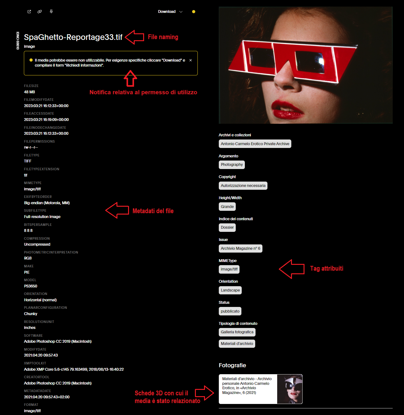 immagine metadati 2D