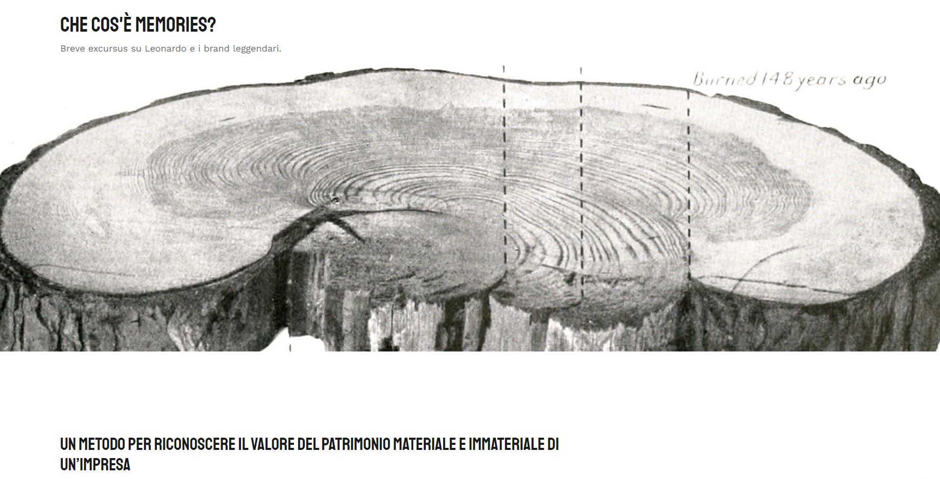 immagine modulo memories collegamento